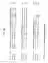 Fig. 07 - Internalizing Anti-CD74 Antibodies and Methods of Use
