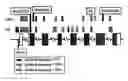 Fig. 01 - Sulfotransferase 1E1 sequence variants