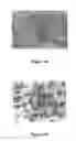 Fig. 02 - EXTRACT HAVING PROTEASE ACTIVITY