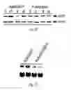 Fig. 07 - SiRNA-mediated gene silencing