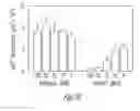 Fig. 09 - SiRNA-mediated gene silencing