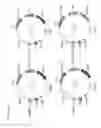 Fig. 16 - Method of making induced pluripotent stem cell from adipose stem cells using minicircle DNA vectors