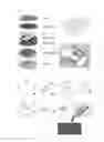 Fig. 11 - Device and Method of 3-Dimensionally Generating IN VITRO Blood Vessels