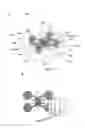 Fig. 14 - Device and Method of 3-Dimensionally Generating IN VITRO Blood Vessels