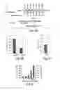 Fig. 03 - RNA sequence-specific mediators of RNA interference