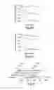 Fig. 06 - RNA sequence-specific mediators of RNA interference