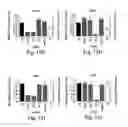 Fig. 13 - RNA sequence-specific mediators of RNA interference