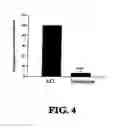 Fig. 05 - METHOD OF INDUCING PROLIFERATION AND/OR DIFFERENTIATION OF NEURAL PRECURSOR CELLS BY INTRODUCING PROLACTIN OR WNT3A TO ACTIVATE LATENT NEURAL PRECURSOR CELLS
