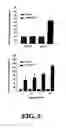 Fig. 06 - METHOD OF INDUCING PROLIFERATION AND/OR DIFFERENTIATION OF NEURAL PRECURSOR CELLS BY INTRODUCING PROLACTIN OR WNT3A TO ACTIVATE LATENT NEURAL PRECURSOR CELLS