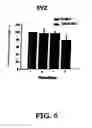 Fig. 07 - METHOD OF INDUCING PROLIFERATION AND/OR DIFFERENTIATION OF NEURAL PRECURSOR CELLS BY INTRODUCING PROLACTIN OR WNT3A TO ACTIVATE LATENT NEURAL PRECURSOR CELLS