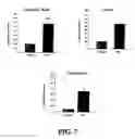 Fig. 08 - METHOD OF INDUCING PROLIFERATION AND/OR DIFFERENTIATION OF NEURAL PRECURSOR CELLS BY INTRODUCING PROLACTIN OR WNT3A TO ACTIVATE LATENT NEURAL PRECURSOR CELLS