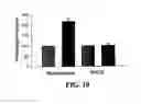 Fig. 11 - METHOD OF INDUCING PROLIFERATION AND/OR DIFFERENTIATION OF NEURAL PRECURSOR CELLS BY INTRODUCING PROLACTIN OR WNT3A TO ACTIVATE LATENT NEURAL PRECURSOR CELLS