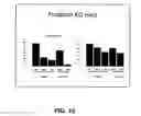 Fig. 14 - METHOD OF INDUCING PROLIFERATION AND/OR DIFFERENTIATION OF NEURAL PRECURSOR CELLS BY INTRODUCING PROLACTIN OR WNT3A TO ACTIVATE LATENT NEURAL PRECURSOR CELLS