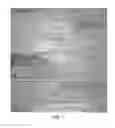 Fig. 08 - Volume exclusion agent to enhance formation of extracellular matrix