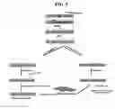Fig. 06 - CELL GROWTH