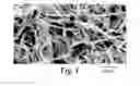 Fig. 02 - Flat microfibers as matrices for cell growth