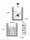 Fig. 03 - Method For The Supply Of Growth Components To Cell Cultures
