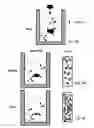 Fig. 05 - Method For The Supply Of Growth Components To Cell Cultures