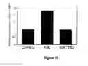 Fig. 47 - METHODS, SYSTEMS AND COMPOSITIONS FOR INCREASED MICROORGANISM TOLERANCE TO AND PRODUCTION OF 3-HYDROXYPROPIONIC ACID (3-HP)
