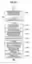 Fig. 24 - Sample analyzer and method of notifying user by the same