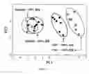 Fig. 06 - Apparatus and methods for diagnosing renal disorders