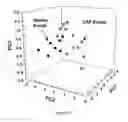 Fig. 18 - Apparatus and methods for diagnosing renal disorders