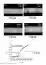 Fig. 03 - Chemical sensors containing carbon nanotubes, method for making same, and uses therof