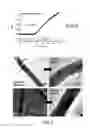 Fig. 04 - Chemical sensors containing carbon nanotubes, method for making same, and uses therof