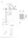 Fig. 03 - OPTICAL DETECTION SYSTEMS AND METHODS OF MAKING AND USING THE SAME