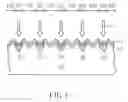 Fig. 07 - METHOD OF FORMING SOLAR CELL