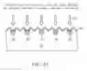 Fig. 11 - METHOD OF FORMING SOLAR CELL