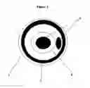 Fig. 04 - Magnetic jumper for bypassing electrical circuits