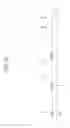 Fig. 08 - Liquid crystal display and fabricating method thereof