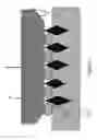 Fig. 05 - ABRASIVE SLURRY FORMULATIONS CONTAINING NANO AND MICRO SPHERES ADDITIVES OR SELF-ASSEMBLED MONOLAYERS