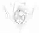 Fig. 01 - Game field dressing tool