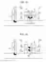 Fig. 13 - AIR CONDITIONING SYSTEM AND AIR CONDITIONING CONTROL METHOD