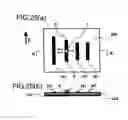 Fig. 18 - Microwave/millimeter wave communication apparatus