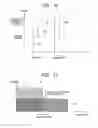 Fig. 09 - Wireless communication system and load balancing aware handover method therefor