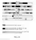 Fig. 12 - Method and system for soft handoff in mobile broadband systems