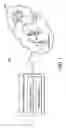 Fig. 02 - Apparatuses and methods for reporting positioning information of a mobile communications device