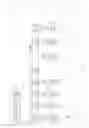 Fig. 04 - Access to a cellular network for machine type communication devices