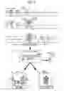Fig. 07 - Game execution control method, storage medium, and electronic instrument