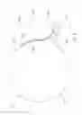 Fig. 07 - System for bifolding an absorbent article