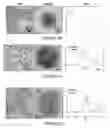 Fig. 04 - Highly durable nanoscale electrocatalyst based on core shell particles