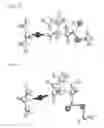 Fig. 03 - Catalyst system for preparing cyclic olefin addition polymer, cyclic olefin addition polymer prepared by using the catalyst system and method for preparing the same