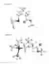 Fig. 04 - Catalyst system for preparing cyclic olefin addition polymer, cyclic olefin addition polymer prepared by using the catalyst system and method for preparing the same