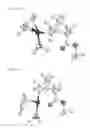 Fig. 05 - Catalyst system for preparing cyclic olefin addition polymer, cyclic olefin addition polymer prepared by using the catalyst system and method for preparing the same