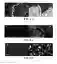 Fig. 22 - Photocatalytic structures, methods of making photocatalytic structures, and methods of photocatalysis
