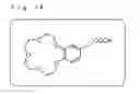 Fig. 20 - Catalyst for purification of automobile exhaust gas and method for manufacturing the same