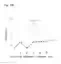 Fig. 27 - Catalyst for purification of automobile exhaust gas and method for manufacturing the same